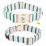 Cute Pink and Green Adjustable Dog Collar