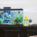 Tetra AquaSafe Plus Aquarium Water Conditioner, 33.8 oz