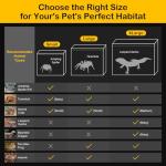 All-in-One Reptile Habitat Starter Kit