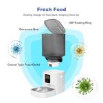 Automatic Cat Feeder with Voice Recorder - 6L