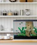29-Gallon Rectangular Tetra Glass Aquarium Tank