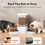 Smart Automatic Cat Feeder for Two Cats