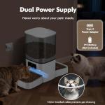 Smart Automatic Cat Feeder for Two Cats