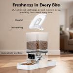 Smart Automatic Cat Feeder for Two Cats