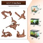 Natural Driftwood for Aquariums and Reptile Decor