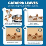 50 Catappa Almond Leaves for Fish Tanks