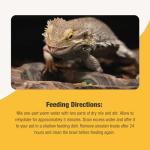 Calcium-Rich Natural Treats for Reptiles and Dragons