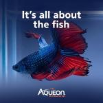 Aqueon PURE Betta Beads for Clear Aquarium Water