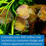 API STRESS ZYME Aquarium Cleaning Solution 16oz