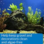 API STRESS ZYME Aquarium Cleaning Solution 16oz