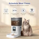 Automatic Cat Feeder with Voice Recorder and Timer
