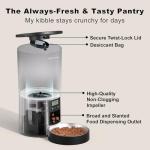 Smart Automated Cat Feeder with Voice Messaging