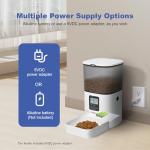 Automatic Cat Feeder with Voice Recorder and Timer