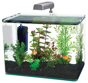 Desktop Nano Aquarium Kit with LED Light and Filter