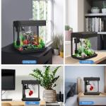 AQQA 1.5 Gallon Colorful Desktop Fish Tank