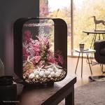 biOrb Life 15 Gallon LED Aquarium Tank
