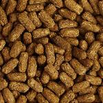 Low Starch Tortoise Diet for Various Species