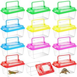 Plastic Reptile Terrarium Carrier with Color Lid