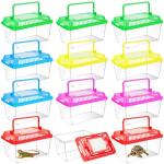 Plastic Reptile Terrarium Carrier with Color Lid