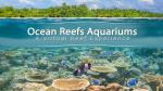 Tropical Reef Ocean Aquarium - Interactive Pet Tech
