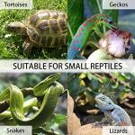 Large Mobile Wooden Tortoise Habitat with Trays