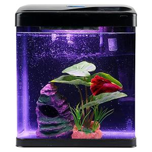 Self-Cleaning 2 Gallon Betta Fish Tank Kit