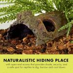 Zilla Medium Bark Bends for Reptile Terrariums