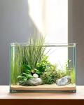 3.5 Gallon Easy Care Aquarium for Betta & More