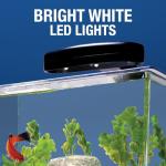 Tetra 3 Gallon Aquarium Starter Kit with LED Light