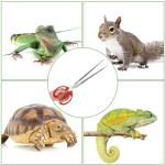 15-Inch Snake Feeding Tongs for Reptiles