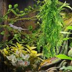 Artificial Hanging Plant Vines for Reptile Terrariums