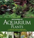 Aquarium Plants Guide for Happy Fish Homes