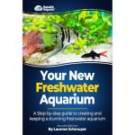 Create and Maintain Your Stunning Freshwater Aquarium