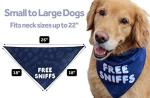 Biden Bite Political Dog Toy and Bandana Set