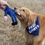Biden Bite Political Dog Toy and Bandana Set