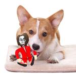 Nancy Pelosi Squeaky Dog Toy: Political Parody