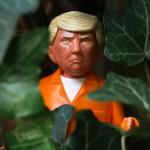 Prison Trump Action Figure: Hilarious Collectible Gag Gift