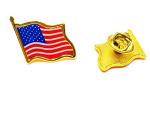 Donald Trump Costume Kit: Wig, Tie, Flag Pin