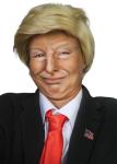 Donald Trump Costume Kit: Wig, Tie, Flag Pin