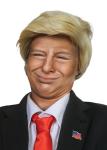 Donald Trump Costume Kit: Wig, Tie, Flag Pin