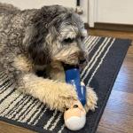 Joe Biden Squeaky Dog Toy - Political Parody