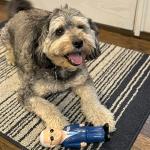 Joe Biden Squeaky Dog Toy - Political Parody