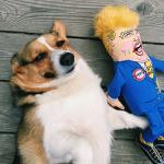 Donald Trump Dog Chew Toy with Squeaker