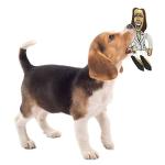 Kamala Harris Chew Toy for Republican Dogs