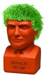 Donald Trump Chia Pet - Fun Plant Gift