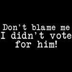 Don't Blame Me I Didn't Vote Vinyl Sticker