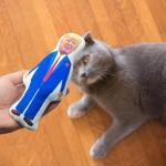Donald Trump Voodoo Doll Stress Reliever Gag Gift