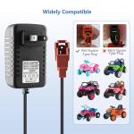 6V Battery Charger for Ride-On Toys and Cars