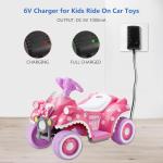 6V Battery Charger for Ride-On Toys and Cars