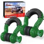 Heavy Duty D-Ring Shackle 2 Pack with Pins